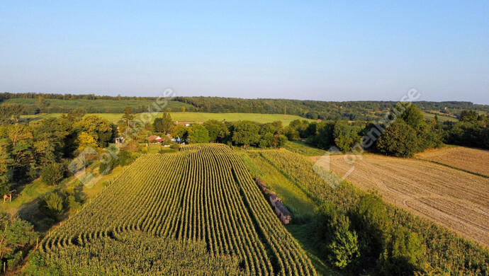 19. kép | Eladó Telek, Nagykutas (#176517)