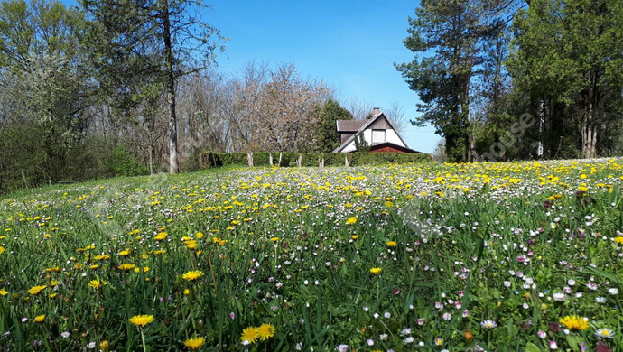 3. kép | Eladó Nyaraló, Söjtör (#179843)