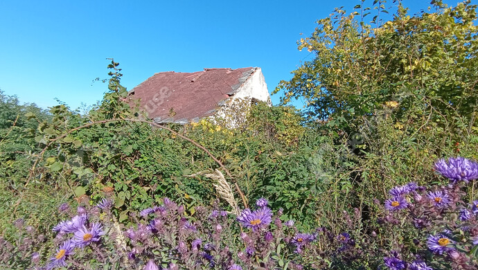 3. kép | Eladó Családi ház, Újudvar (#178058)