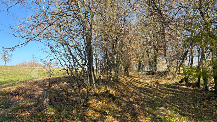 2. kép | Eladó Telek, Gomba (#178274)