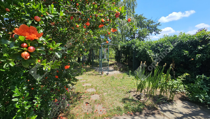 22. kép | Eladó Családi ház, Balatonboglár (#179076)