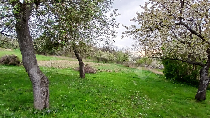 29. kép | Eladó Családi ház, Boncodfölde (#181114)