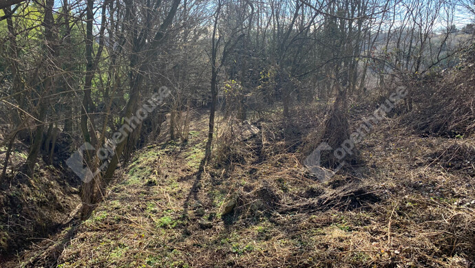 18. kép | Eladó Nyaraló, Homokkomárom (#179898)