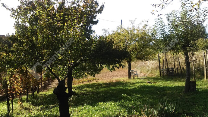 1. kép | Telek | Eladó Zárt kert, Zalaegerszeg (#176917)