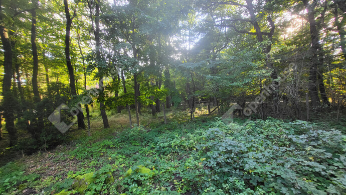 17. kép | Eladó Családi ház, Pilisszentkereszt (#177077)