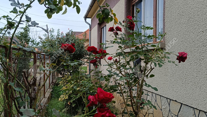 0. kép | Eladó Családi ház, Letenye (#177330)