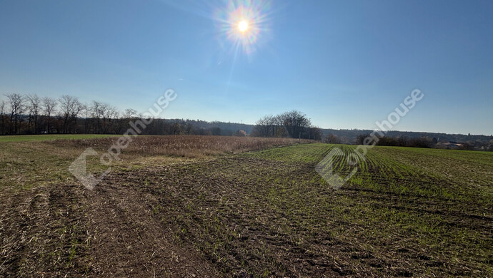 6. kép | Eladó Telek, Gomba (#178274)