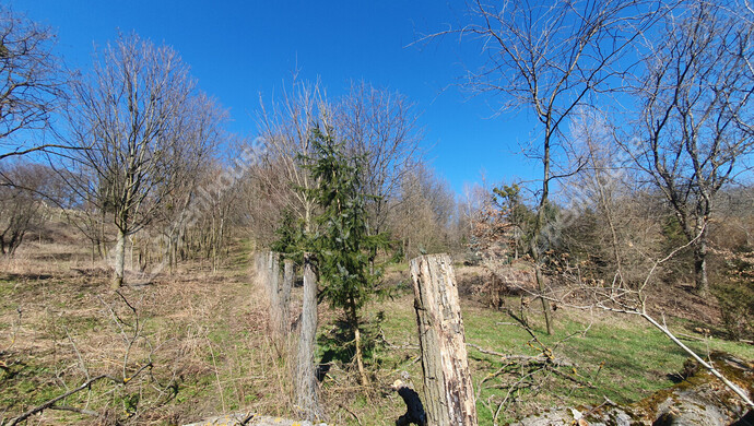 8. kép | Eladó Zárt kert, Homokkomárom (#180107)