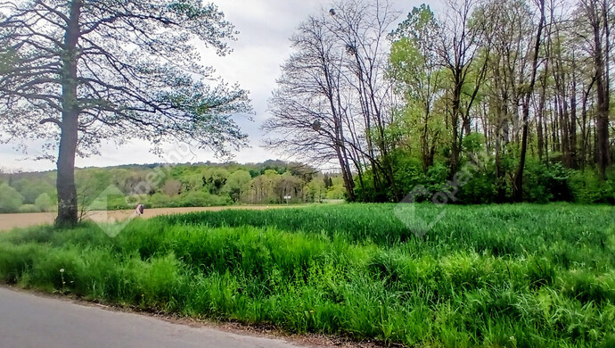 0. kép | Eladó Telek, Zalaegerszeg (#181405)