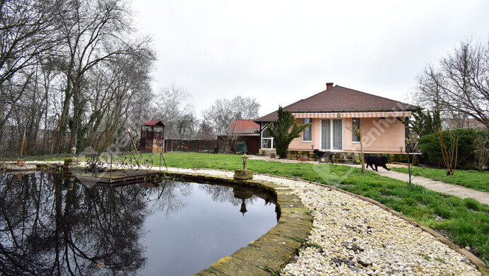 47. kép | Eladó Családi ház, Algyő (#179972)