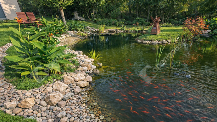 2. kép | Eladó Családi ház, Kápolnásnyék (#179314)