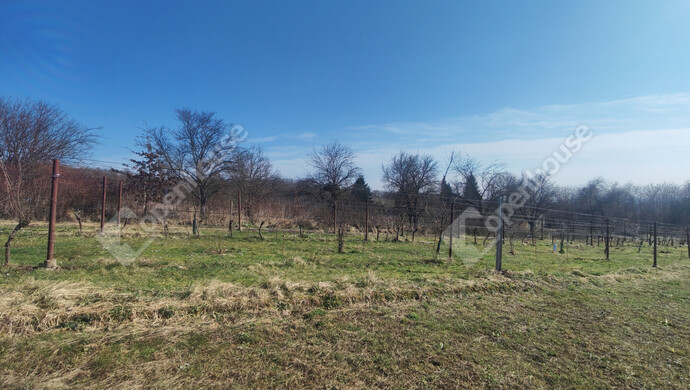 44. kép | Eladó Nyaraló, Becsehely (#180205)