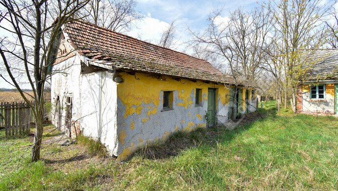 3. kép | Eladó Tanya, Balástya (#180752)