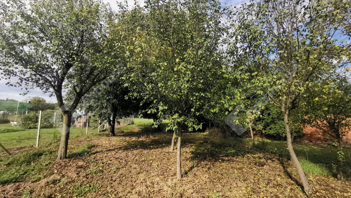 7. kép | Eladó Telek, Nagyrécse (#177223)