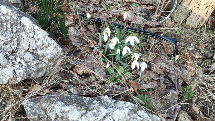 7. kép | Eladó Zárt kert, Bőny (#180133)