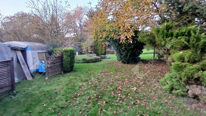 39. kép | Eladó Családi ház, Barlahida (#177614)