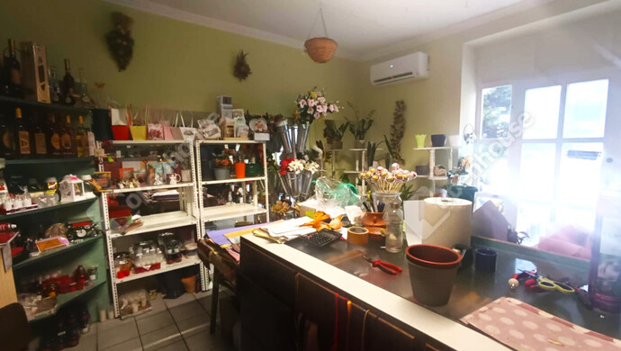 5. kép | Eladó Családi ház, Zsombó (#179225)