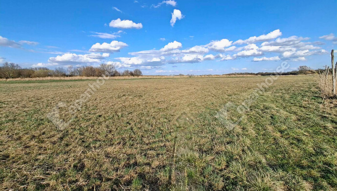 0. kép | Eladó Mezőgazdasági, Ebergőc (#180319)