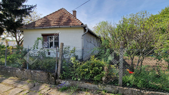 20. kép | UTCA FRONT | Eladó Családi ház, Bodrogolaszi (#168437)