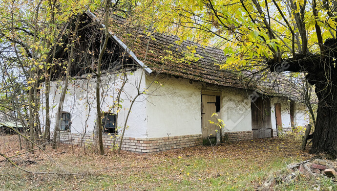 22. kép | Eladó Tanya, Balástya (#178144)