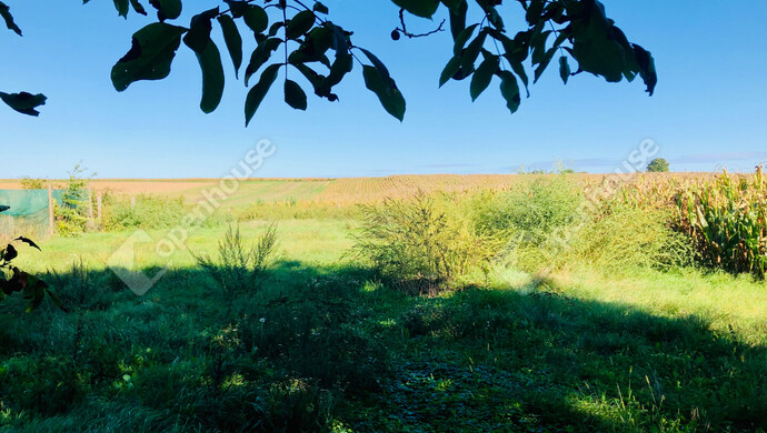 25. kép | Eladó Családi ház, Pölöskefő (#177295)