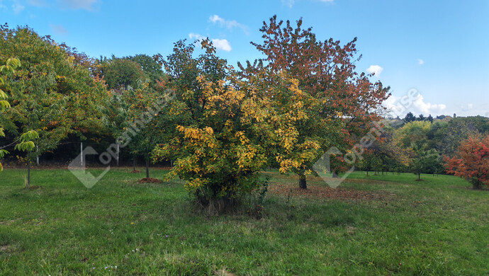 58. kép | Eladó Nyaraló, Nagykanizsa (#177970)