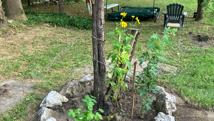 26. kép | Eladó Zárt kert, Bőny (#180133)