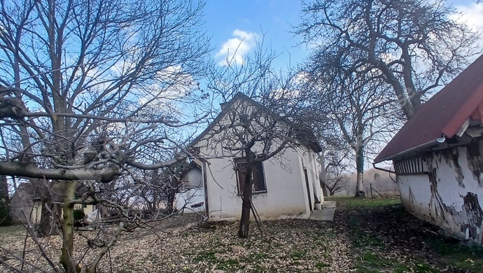 9. kép | Eladó Zárt kert, Bak (#180229)