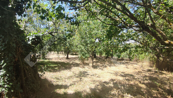 59. kép | Eladó Nyaraló, Szepetnek (#176202)