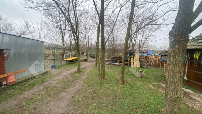 13. kép | Kert | Eladó Családi ház, Rábapatona (#179107)