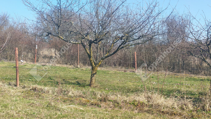 30. kép | Eladó Nyaraló, Becsehely (#180205)