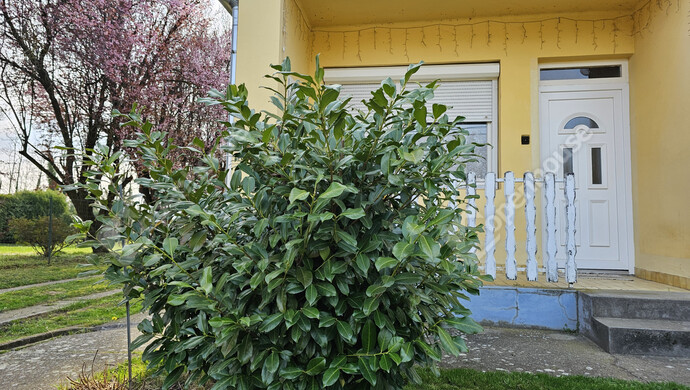 4. kép | Eladó Családi ház, Szőlősgyörök (#179158)