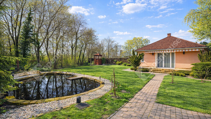 5. kép | tavaszi illusztráció | Eladó Családi ház, Algyő (#179972)