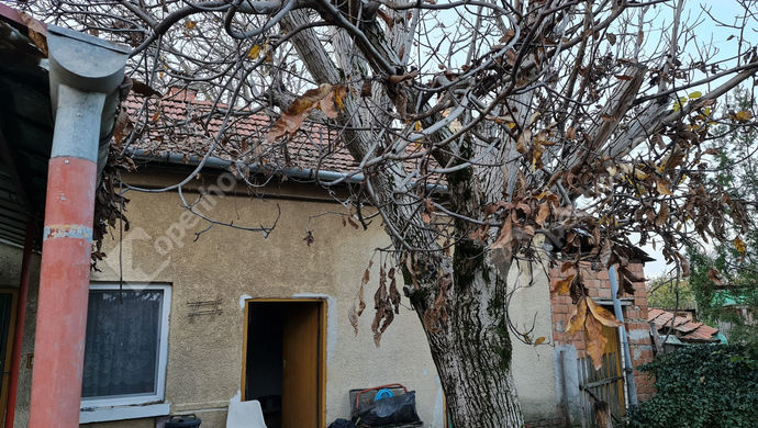 13. kép | Melléképület | Eladó Családi ház, Szeged (#160127)