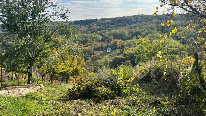 0. kép | Eladó Zárt kert, Pethőhenye (#178674)