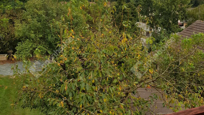 16. kép | Eladó Családi ház, Zalaegerszeg (#177461)