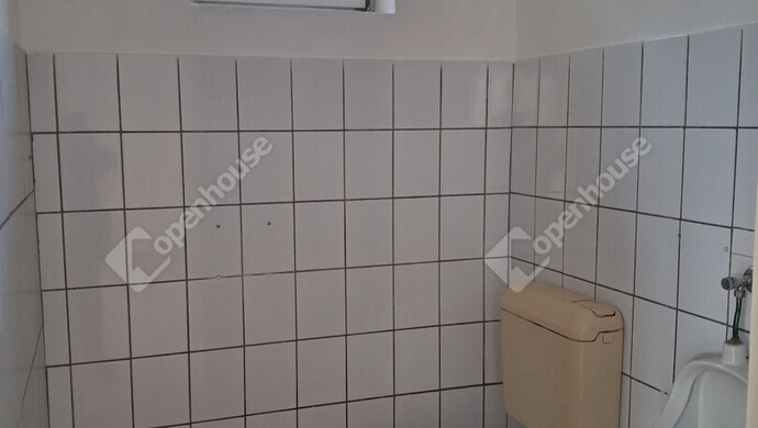 7. kép | Kiadó Üzlethelyiség, Bana (#180213)