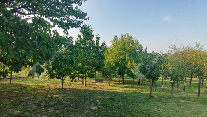 16. kép | Eladó Családi ház, Marcali (#177837)