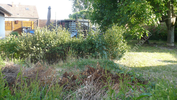 8. kép | Eladó Családi ház, Mikepércs (#180477)