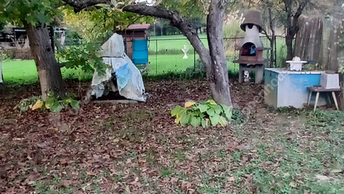 41. kép | Eladó Családi ház, Barlahida (#177614)