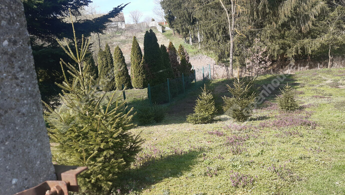 45. kép | Eladó Családi ház, Nagykanizsa (#180380)