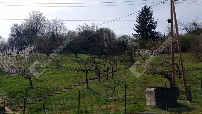 1. kép | Eladó Telek, Zalaegerszeg (#180716)