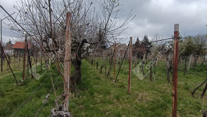 18. kép | Eladó Családi ház, Nagykanizsa (#180983)