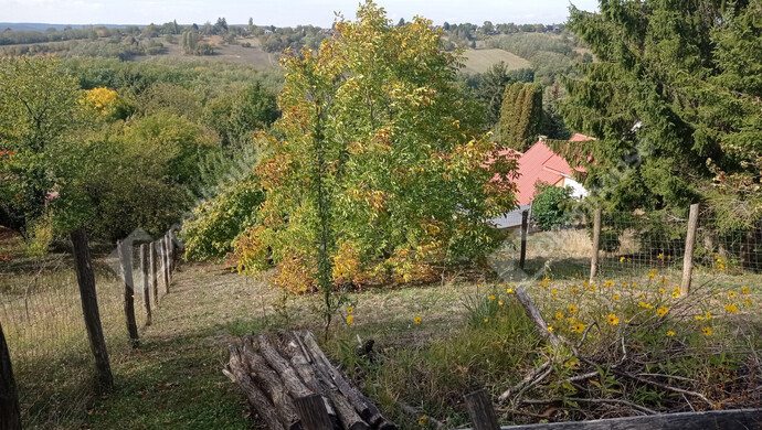 20. kép | Eladó Családi ház, Zalaegerszeg (#184603)