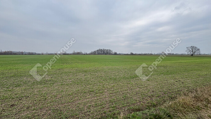 3. kép | Eladó Telek, Csévharaszt (#178898)