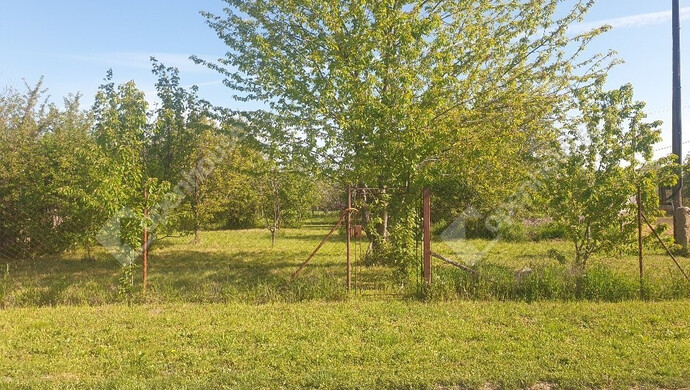 2. kép | Eladó Zárt kert, Deszk (#169722)