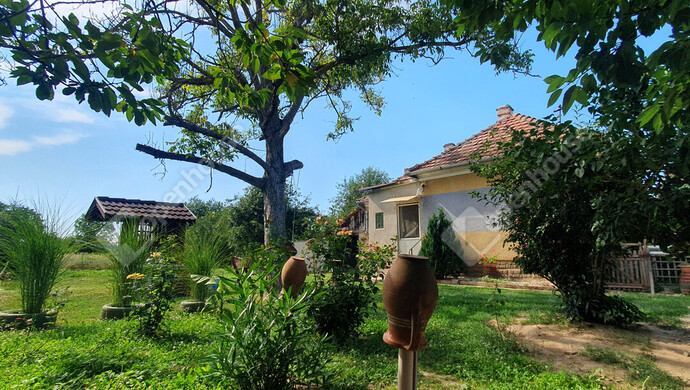 26. kép | Eladó Családi ház, Őrtilos (#183789)