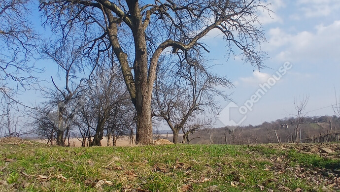 16. kép | Eladó Zárt kert, Bak (#180229)