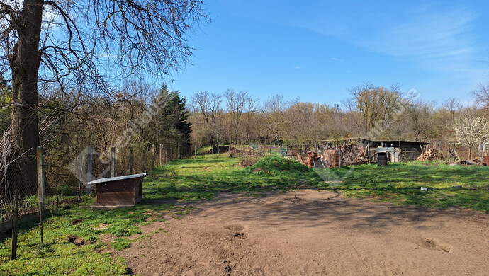 22. kép | Eladó Családi ház, Debrecen (#180835)