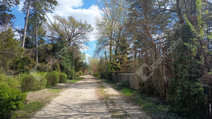 13. kép | Utca | Eladó Nyaraló, Szeged (#180993)